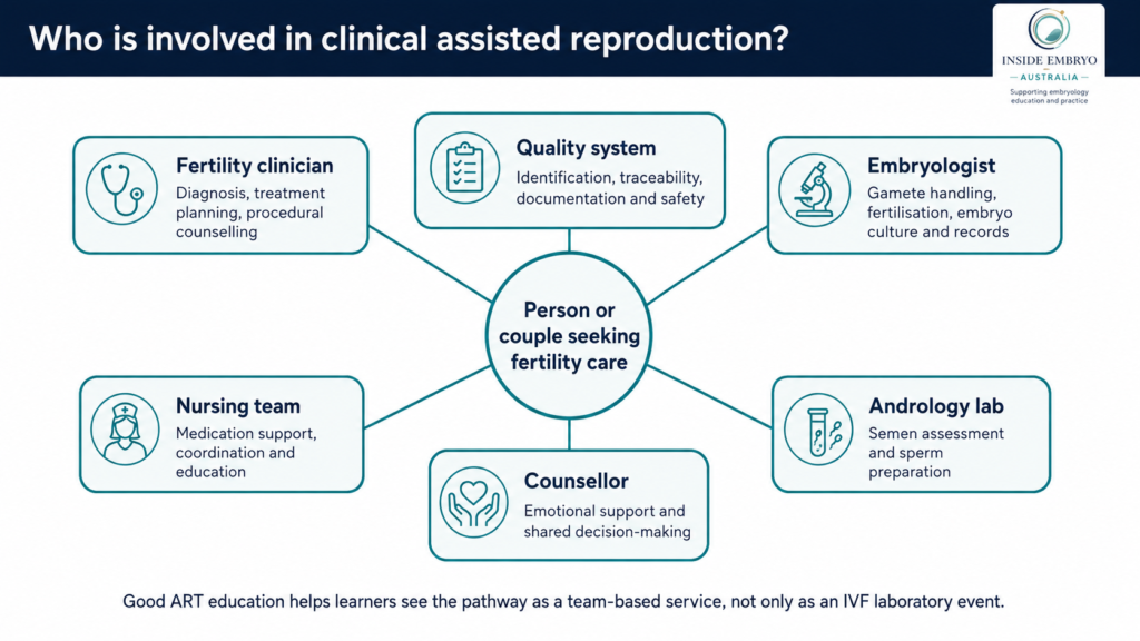 Multidisciplinary fertility-care team including a clinician, embryologist, andrology laboratory, nursing team, counsellor and quality system.