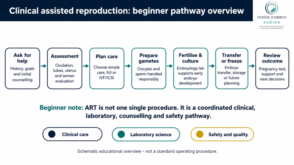 Seven-stage assisted reproduction pathway from initial counselling and fertility assessment to treatment review and follow-up.