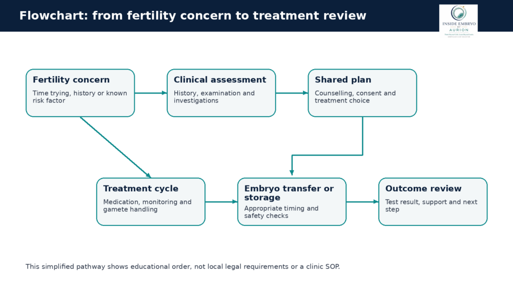 Flowchart showing how fertility evaluation may lead to simpler care, IUI, IVF or ICSI, followed by review and support.