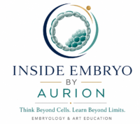 Inside Embryo